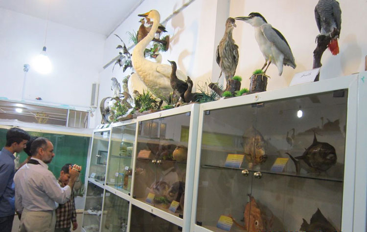 موزه علوم طبیعی بهاباد