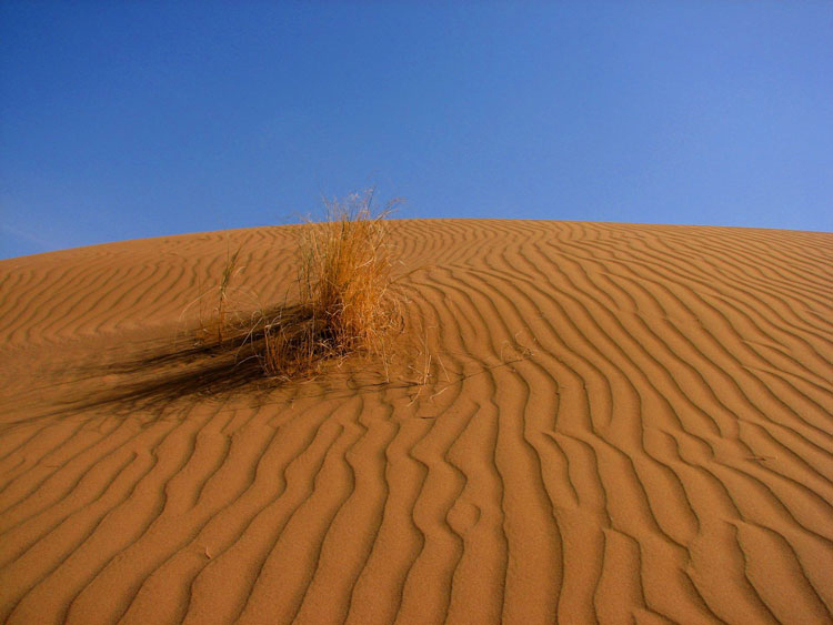 Fahraj Desert