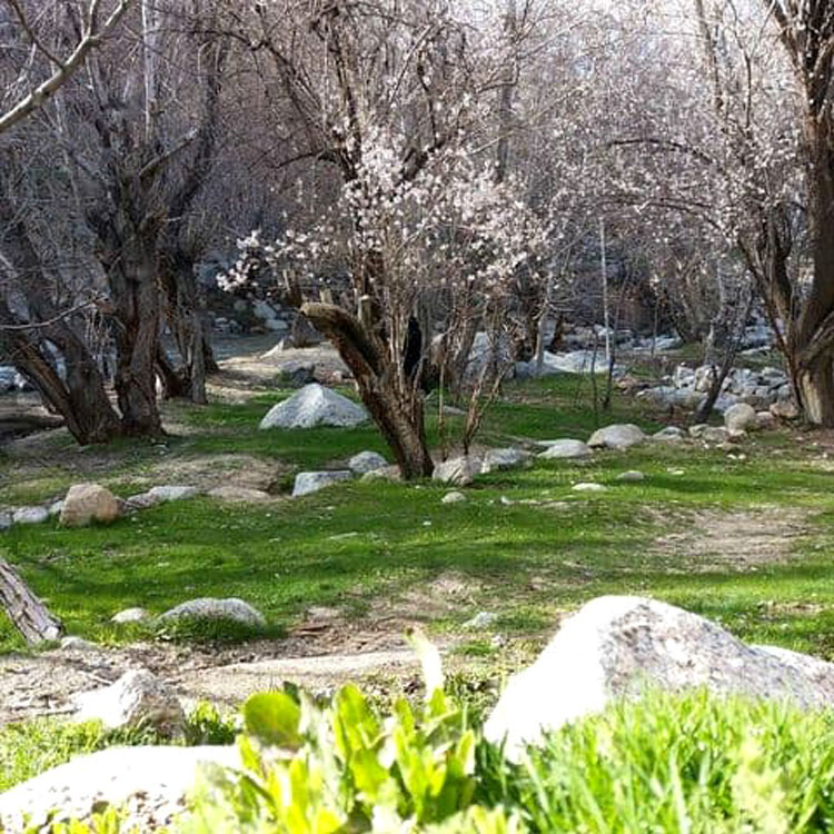 روستای بنادک سادات مهریز