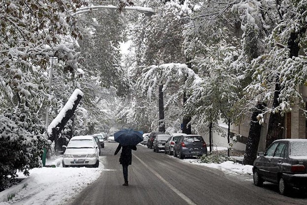 پیاده‌روی در کنار درختان برف‌پوشیده در خیابان ولیعصر