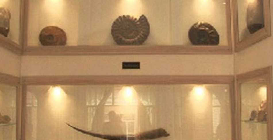 افتتاح موزه تخصصی دیرینه شناسی کامبرین در یزد