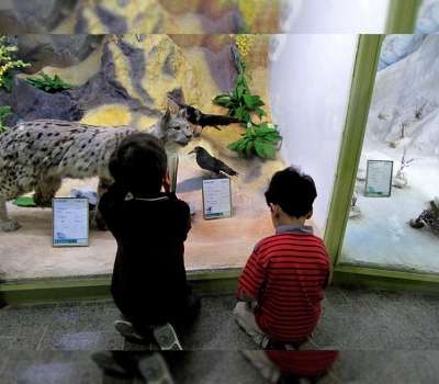 موزه کودک و طبیعت