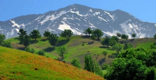 Highlights of Central Iran in 20 days